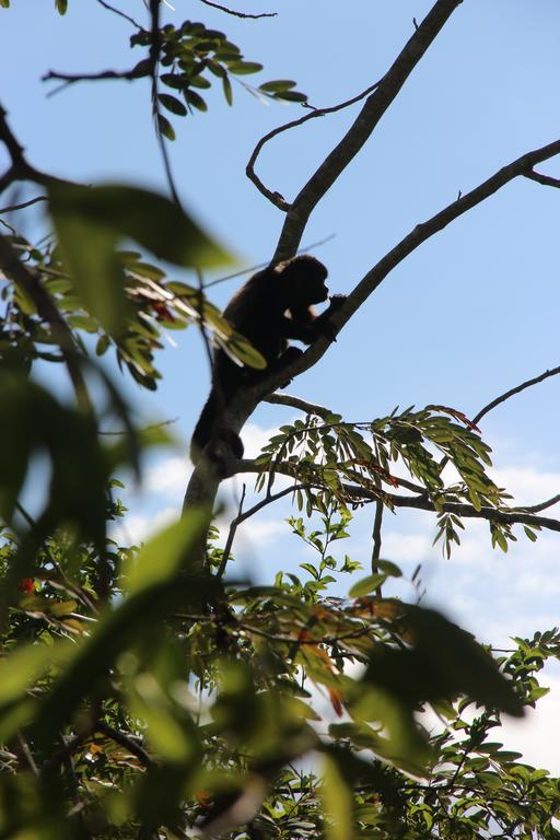 El Respiro Ecolodge Ґранада Екстер'єр фото